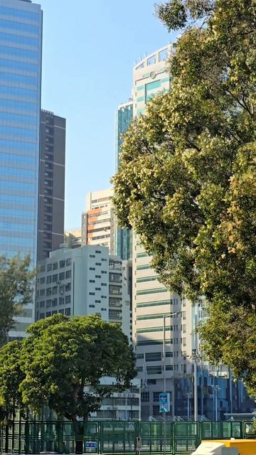 зелено-каменно #гонконг