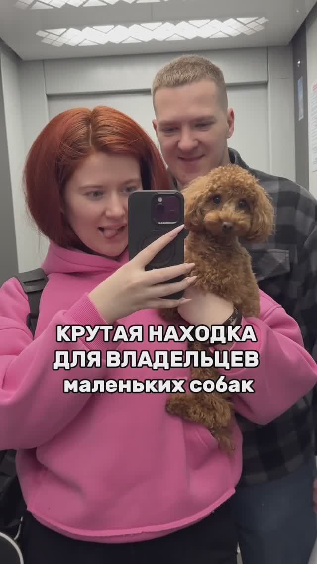 КРУТАЯ НАХОДКА ДЛЯ СОБАЧНИКОВ