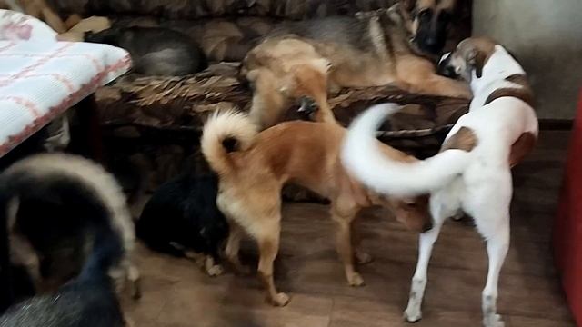 Друзья! Нужна ваша помощь! 🆘🆘
У нас заканчиваются спинки, осталось сварить только на раз. Времени