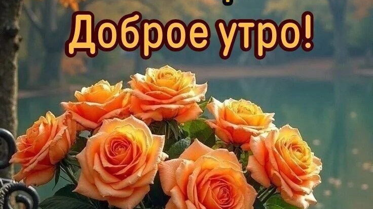 Доброе утро Хорошего дня 