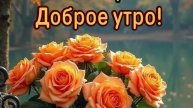 Доброе утро 💖Хорошего дня ♥️🌝