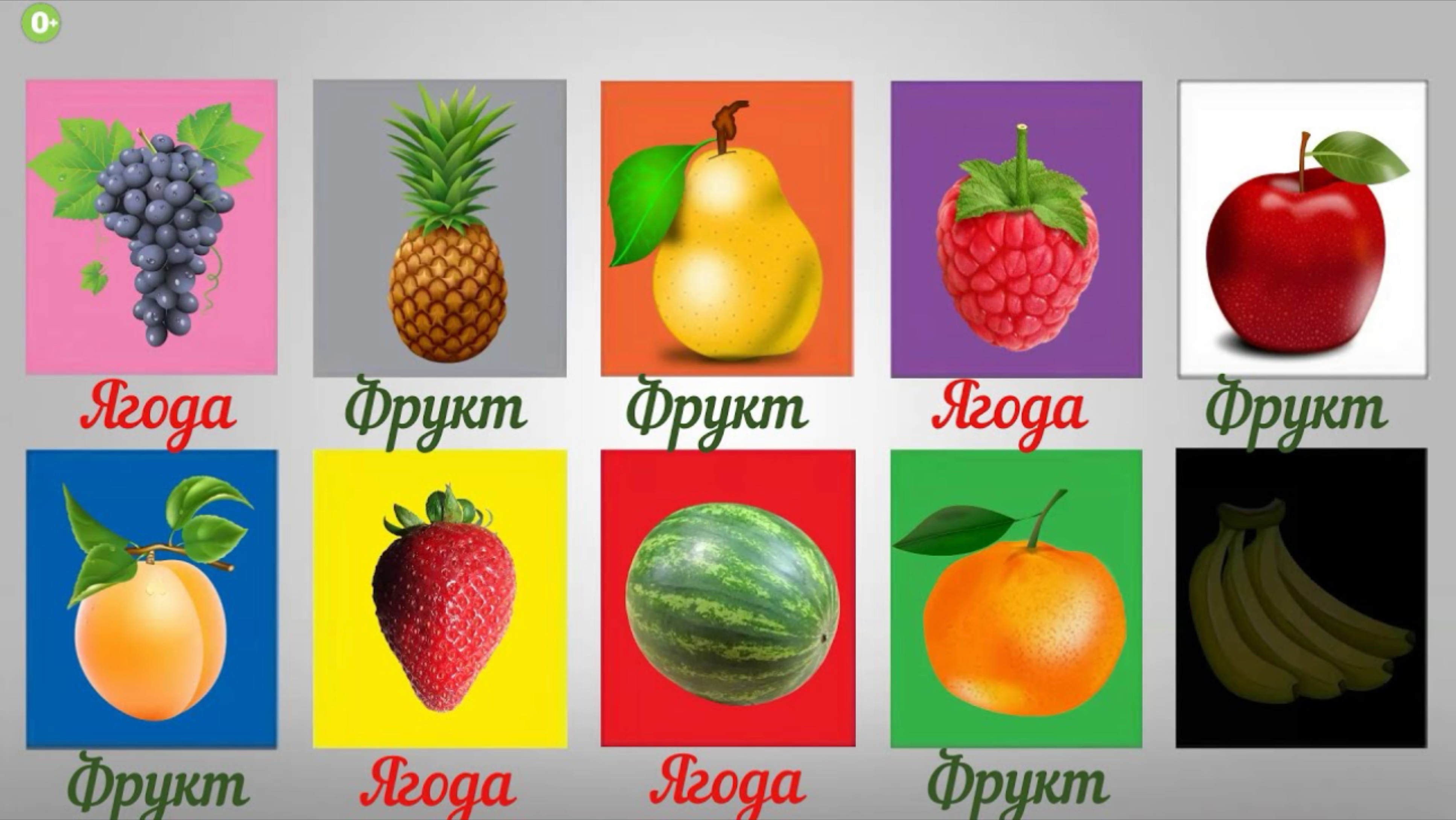 Учим фрукты и ягоды