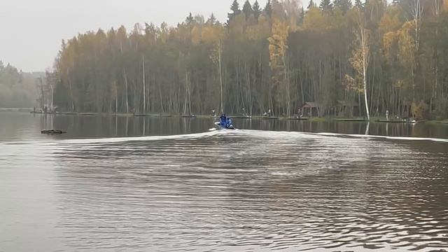 Запуск форели.