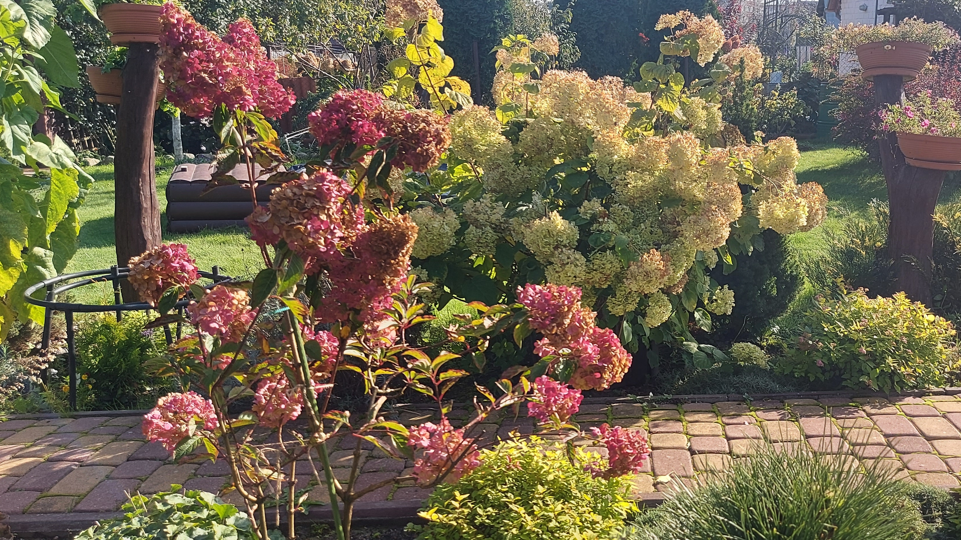 Погода шепчет🌸🌞💜