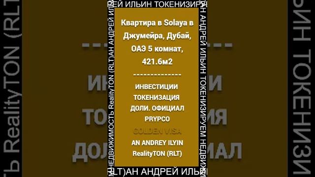 AN ANDREY ILYIN RealityTON (RLT)