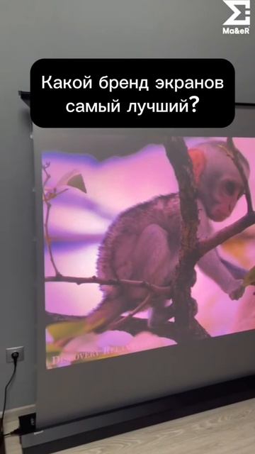 Какой бренд экранов самый лучший?