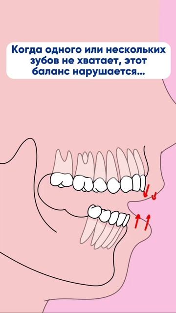 Важность жевательных зубов