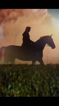 ЛЮБЭ ✨ Конь