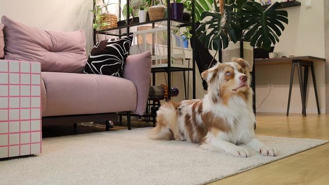 Без названия