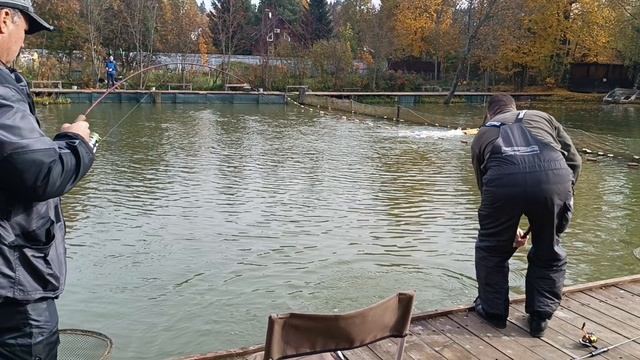 Железо рулит