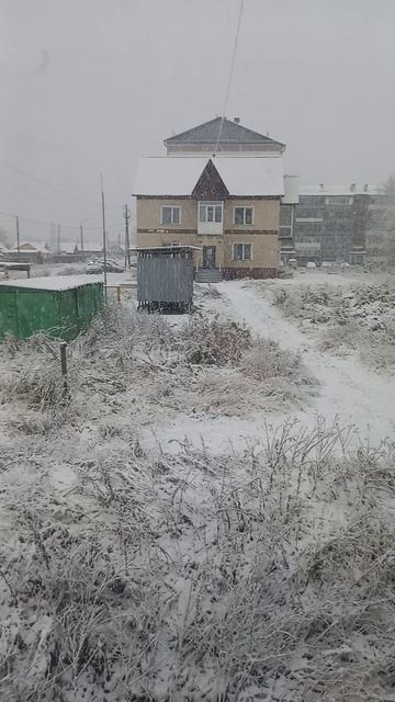 Первый снег (6.10.25 г.)