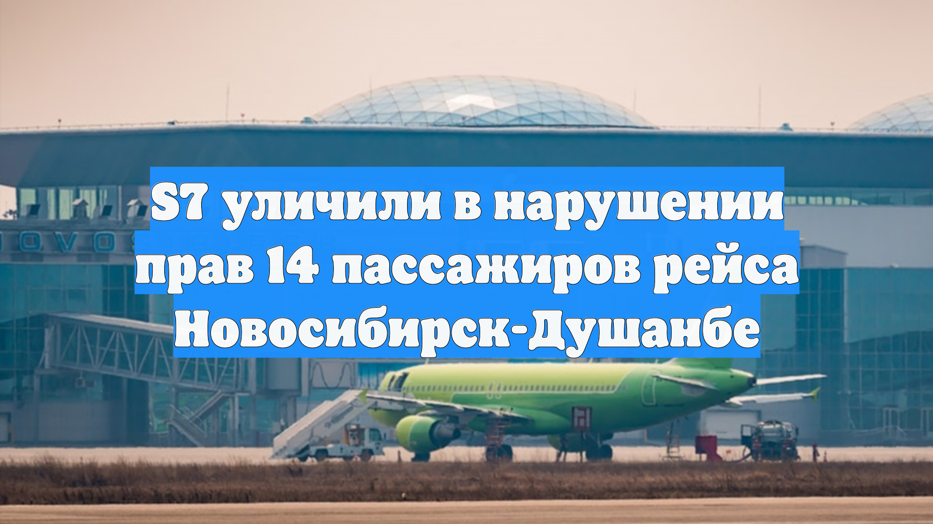 S7 уличили в нарушении прав 14 пассажиров рейса Новосибирск-Душанбе
