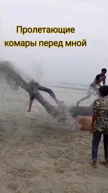 лес