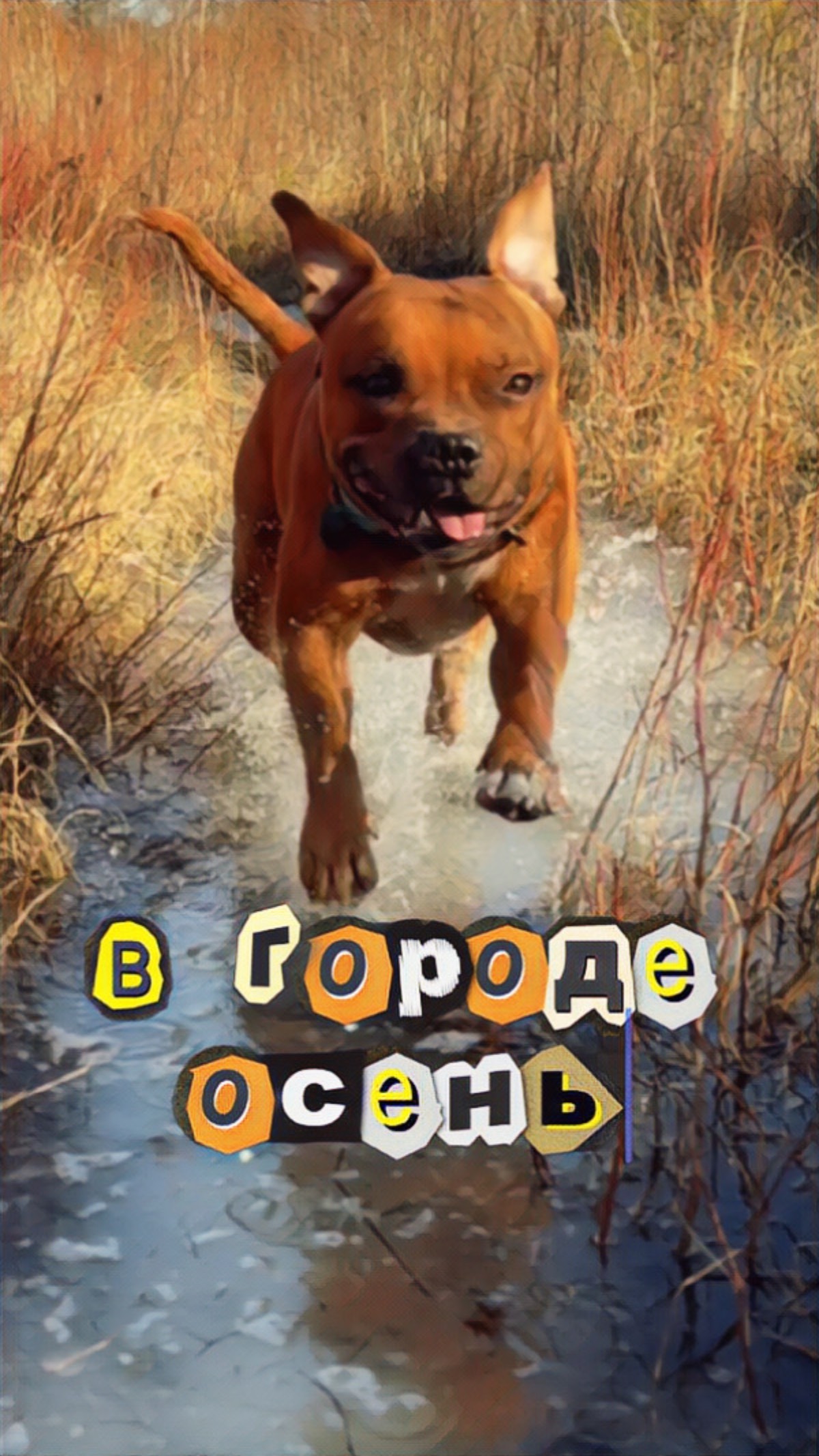 А какая погода у тебя в городе?🌤️