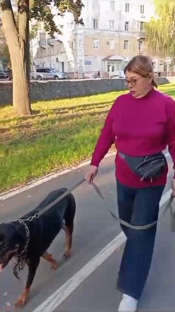 VID-20250726-WA0010