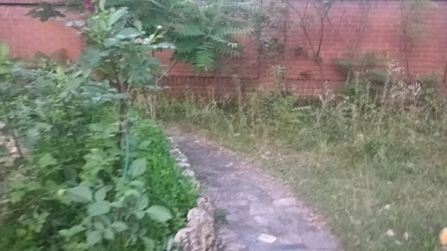 тихое место, тропинки
