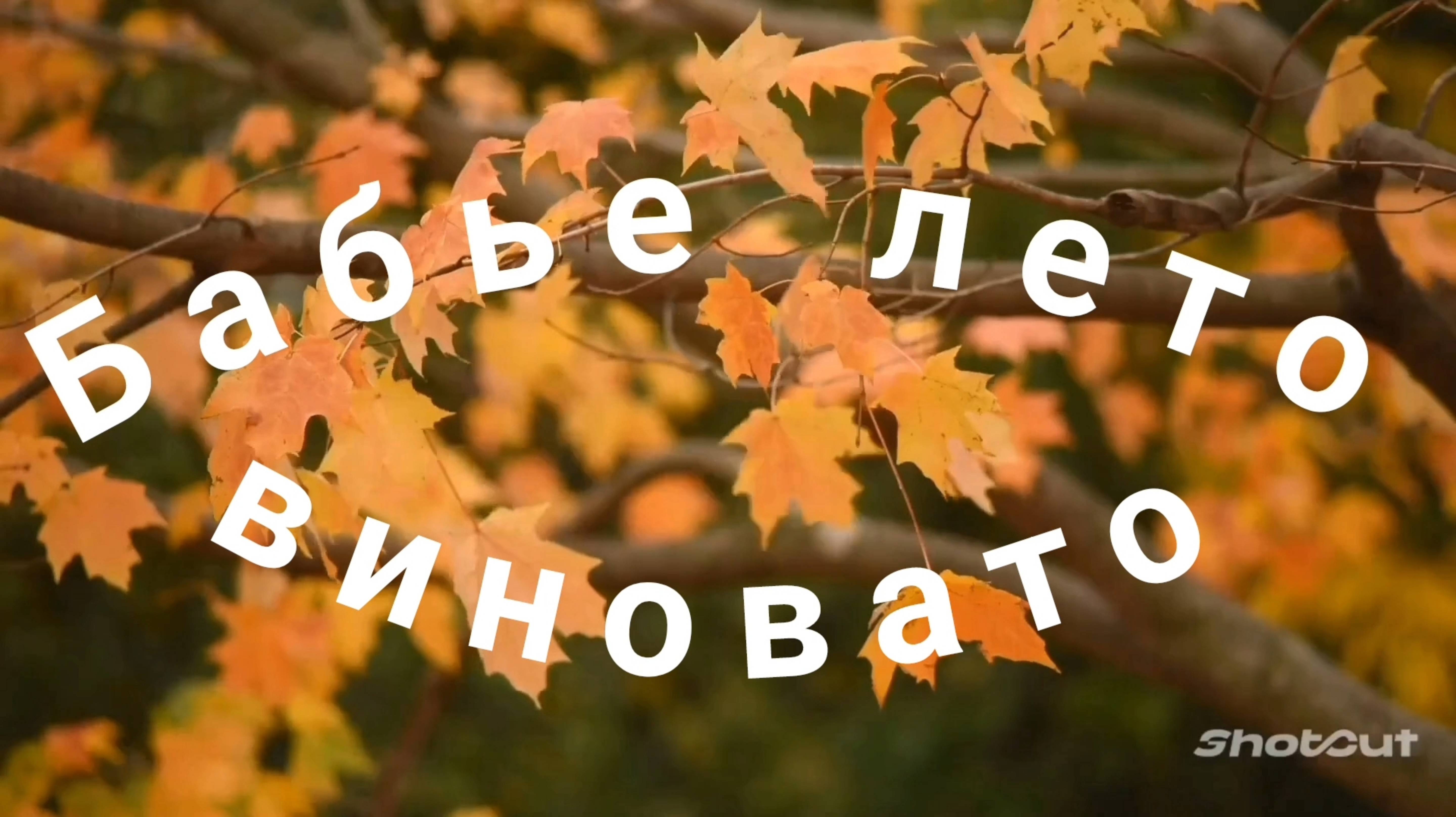 ВИНОВАТО БАБЬЕ ЛЕТО🌞🌴🏄🎇