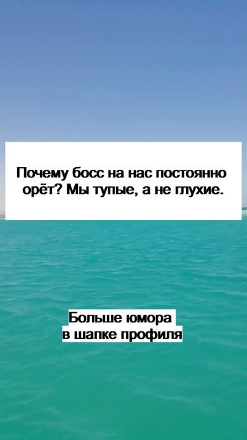 Короткие анекдоты свежие 9 октября 2025