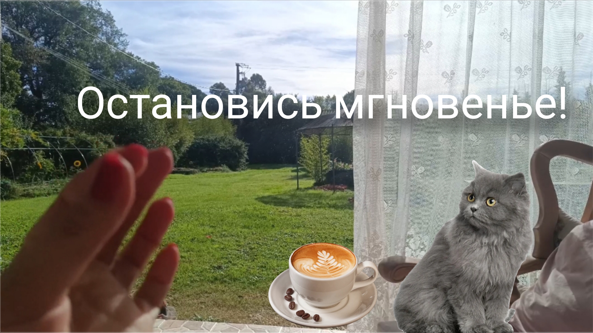Хочу локдаун! Октябрь во Франции.