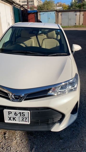 Toyota Corolla Axio 2019 год