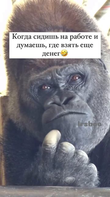 Когда сидишь на работе и думаешь где еще взять денег