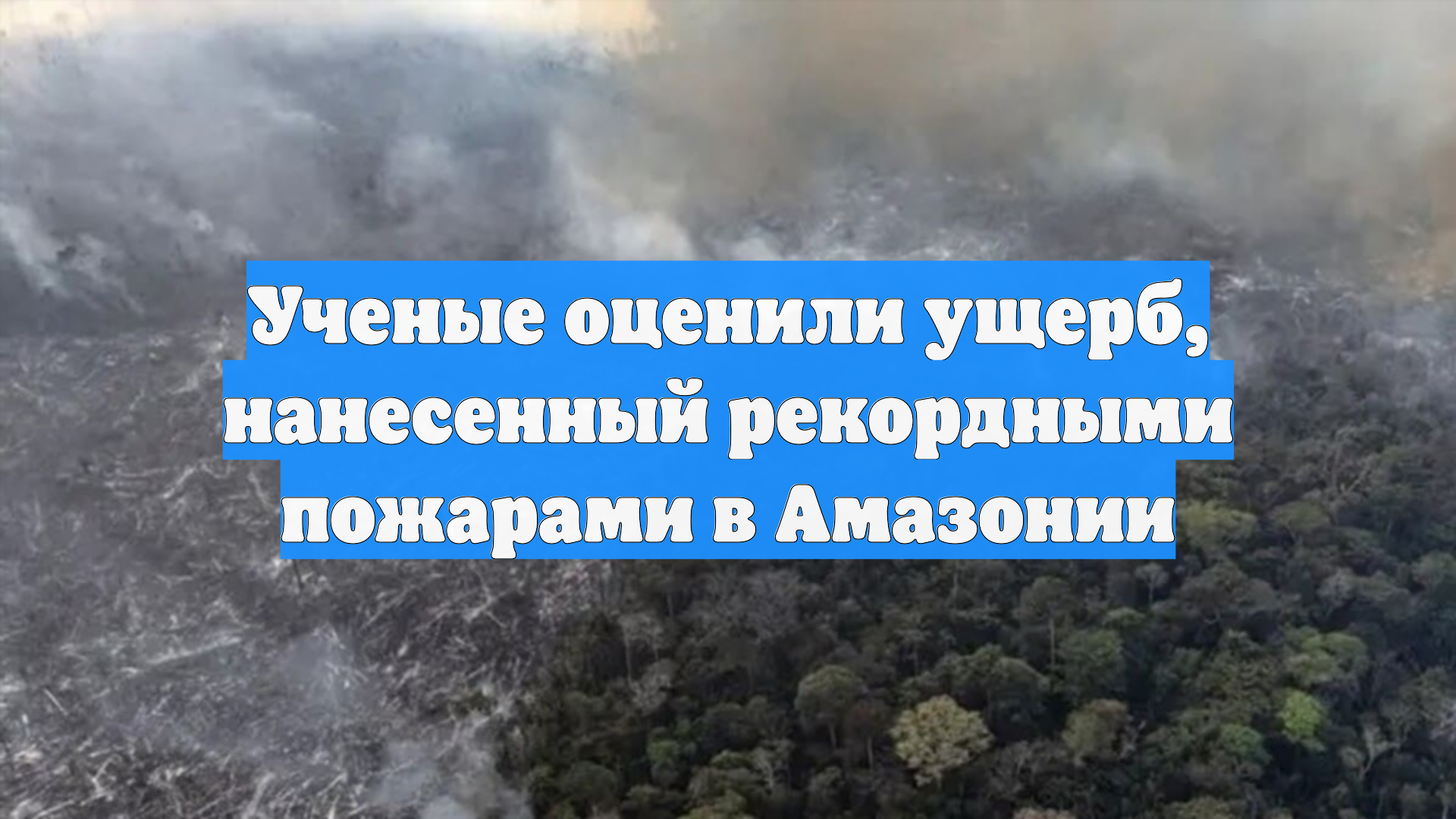 Ученые оценили ущерб, нанесенный рекордными пожарами в Амазонии