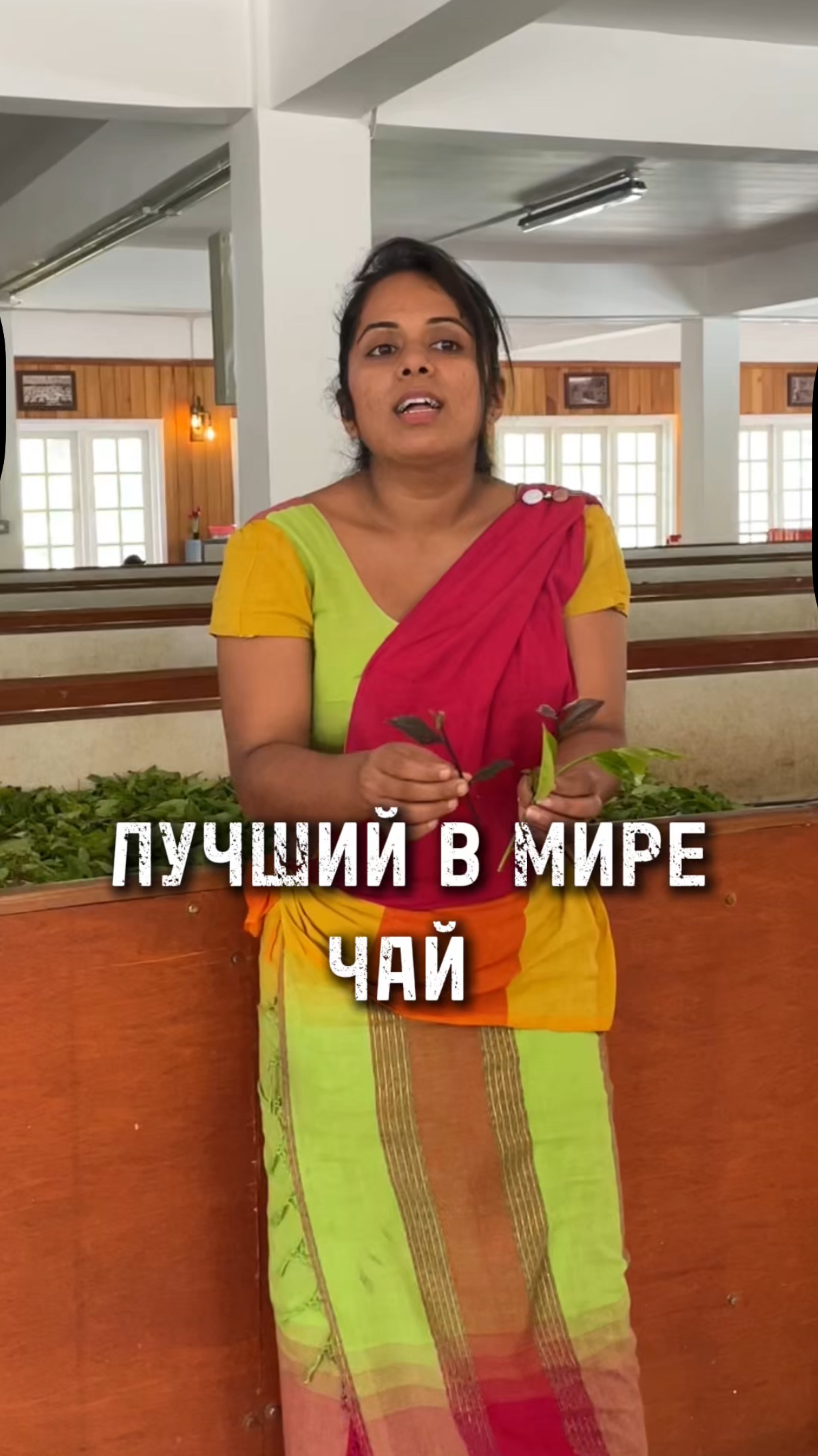 Чай на ШРИ-ЛАНКЕ