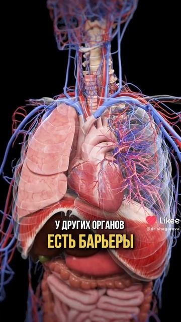 Духи - это яд??? 😱#духи #парфюмерия #маркетинг #туалетнаявода #парфюм #парфюм #кожа