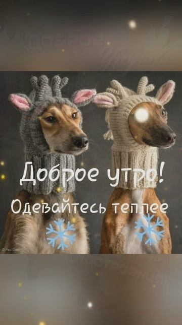 доброе утро🍰