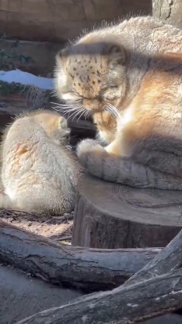 Мануальная терапия 👍😘🥰😉😻