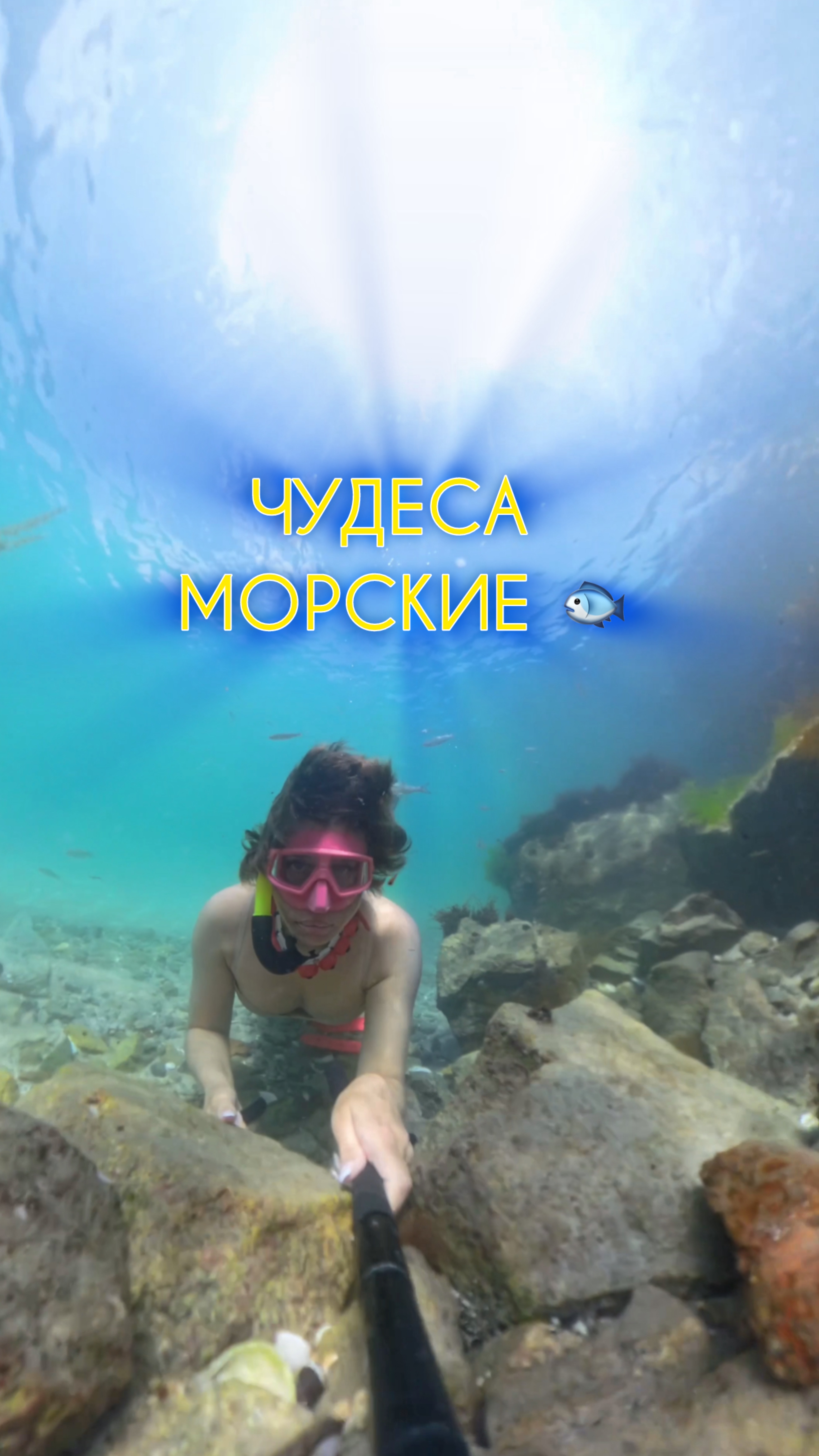 Чудеса морские