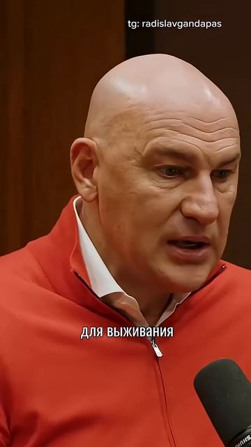 Страх перед выступлением не враг, а союзник. Радислав Гандапас #радиславгандапас #психология #успех