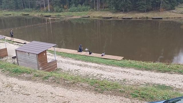 Forest Fishing 10.10.25