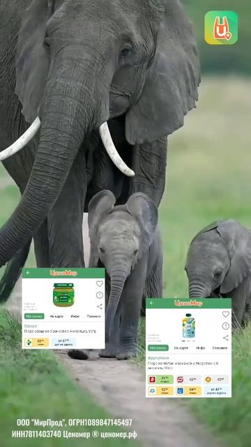 Лучшие родители