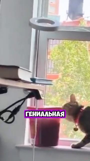 Чего только не сделаешь ради любимых вкусняшек [OGN]