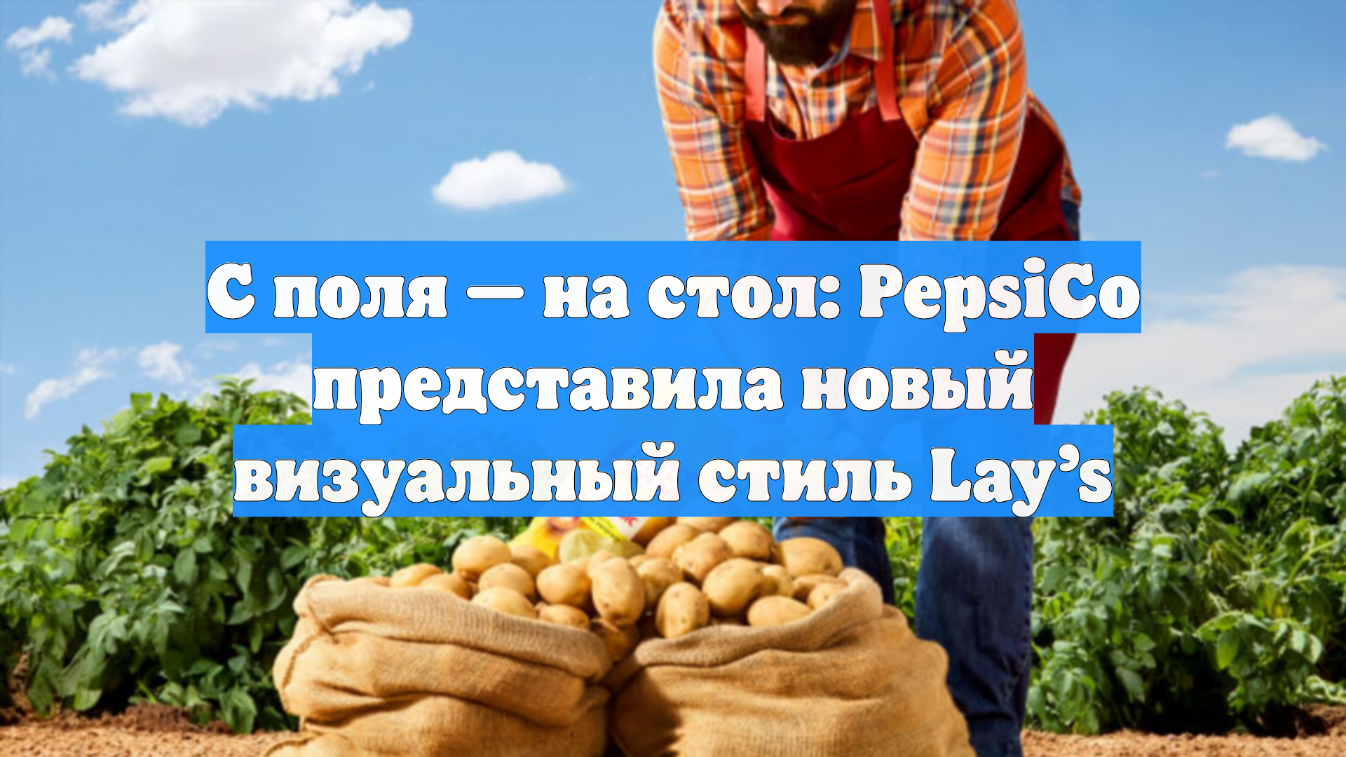 С поля — на стол: PepsiCo представила новый визуальный стиль Lay’s