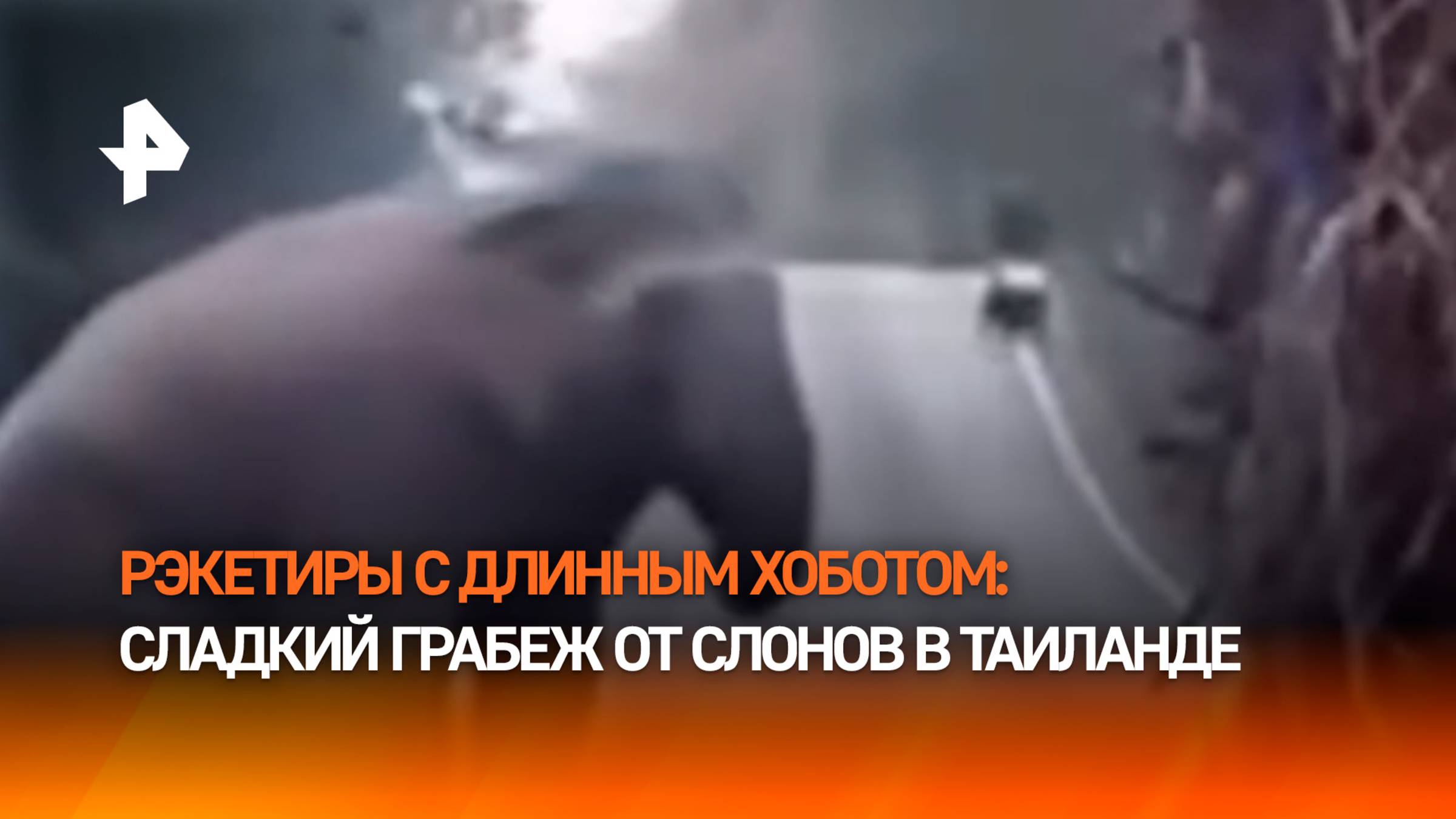 "Рэкет" от слонов в Таиланде: останавливают грузовики на трассе