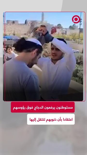 إسرائيليون يستخدمون الدجاج للتخفيف من ذنوبهم!