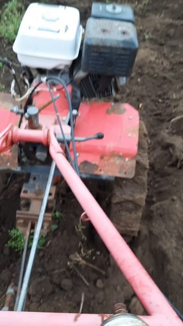Пашим огород мотоблоком на грунтозацепах