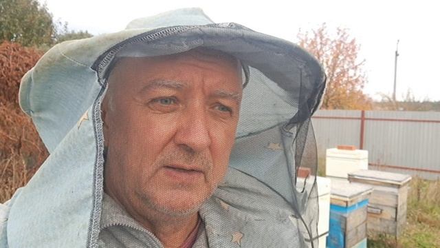 Последний осенний облёт пчёл. Началась зимовка