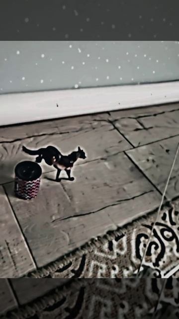 Lv_0_20251010192153.mp4