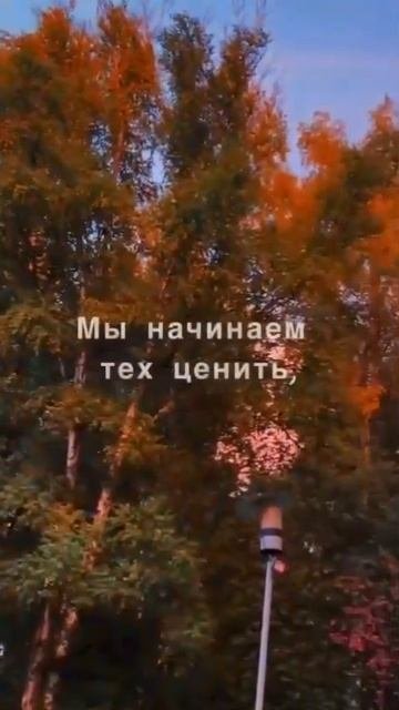 Мы начинаем понимать...