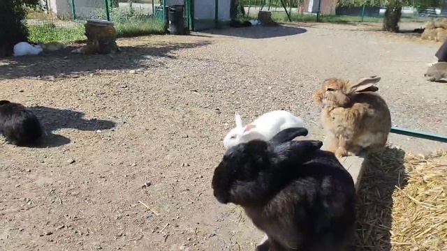 1000054773.mp4