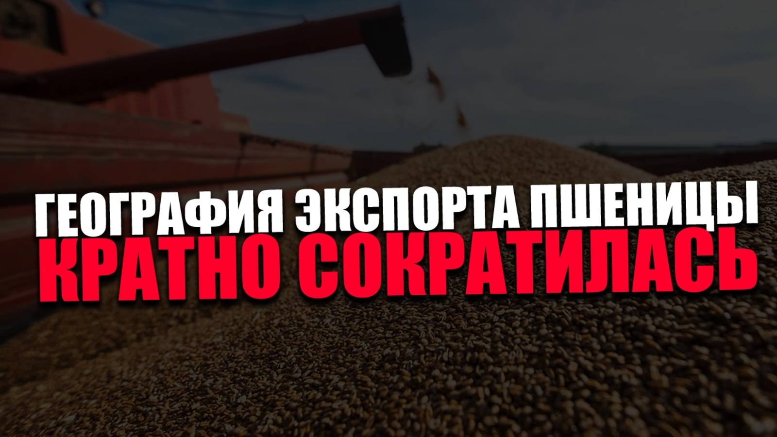 АГРАРНЫЙ КРИЗИС. Почему посевные площади упали до двадцатилетнего минимума?