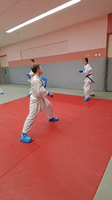 Отработка ударов ногами. Часть 4.