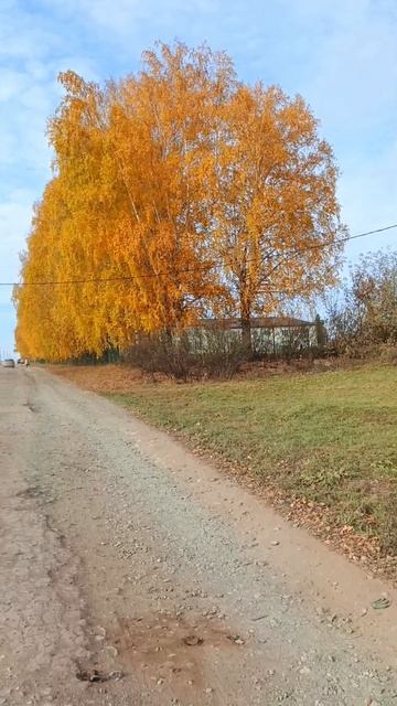 Золотая Осень 🍁!
#золотаяосень #день #октябрь2025