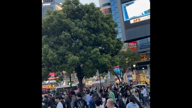 Токио с разных сторон