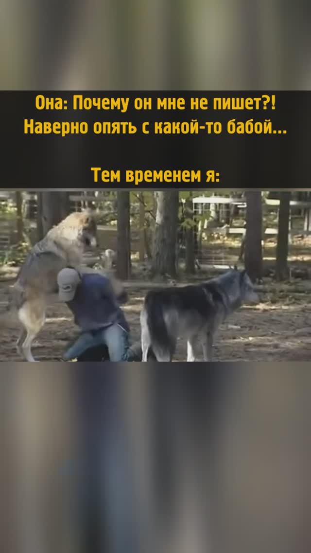 Занят очень важным делом #shorts