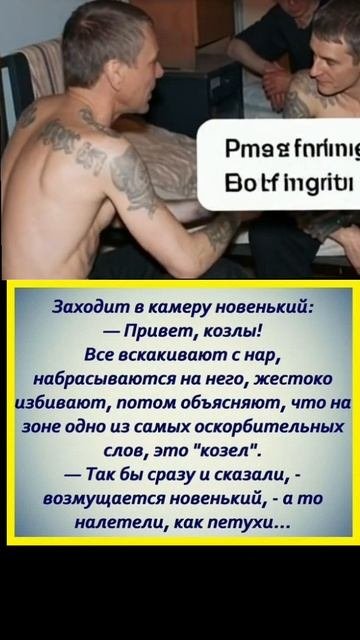 Привет,козлы)