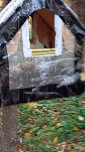 09.10.25. пополнила кормом дальние кормушки для белочек и мелких лесопарковых птиц